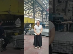 Dit is hoe randbescherming hek panelen worden geproduceerd