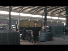 Eenvoudig te monteren 358 gaashekwerk