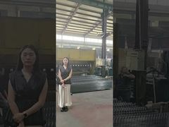 Hoogbeveiligde 358 Anti-klimhekwerkpanelen