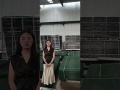 Anti-klimbeveiligingshekwerk met helder zicht voor het maken van pallets